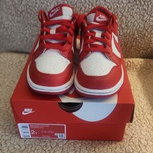 Nike Dunk Low Kids